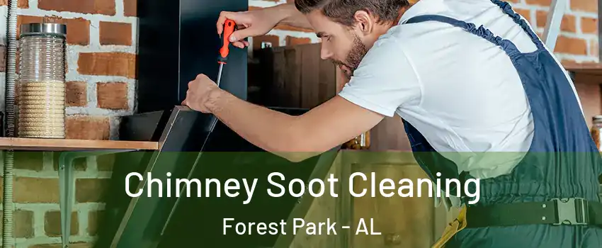 Chimney Soot Cleaning Forest Park - AL