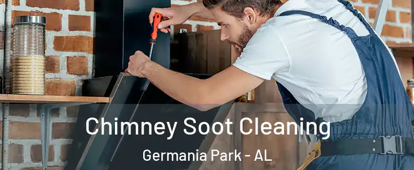 Chimney Soot Cleaning Germania Park - AL