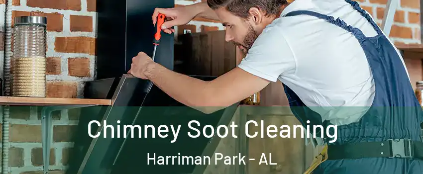Chimney Soot Cleaning Harriman Park - AL
