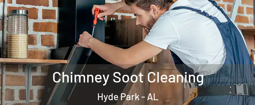 Chimney Soot Cleaning Hyde Park - AL