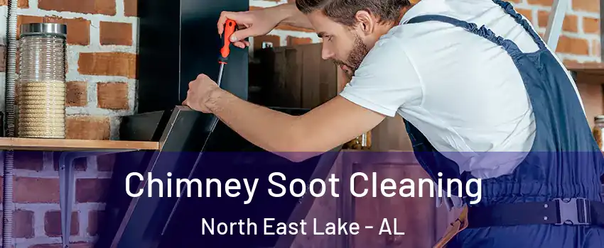 Chimney Soot Cleaning North East Lake - AL