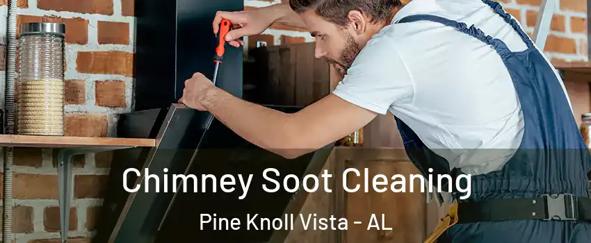 Chimney Soot Cleaning Pine Knoll Vista - AL