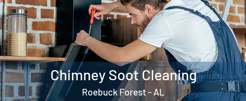 Chimney Soot Cleaning Roebuck Forest - AL