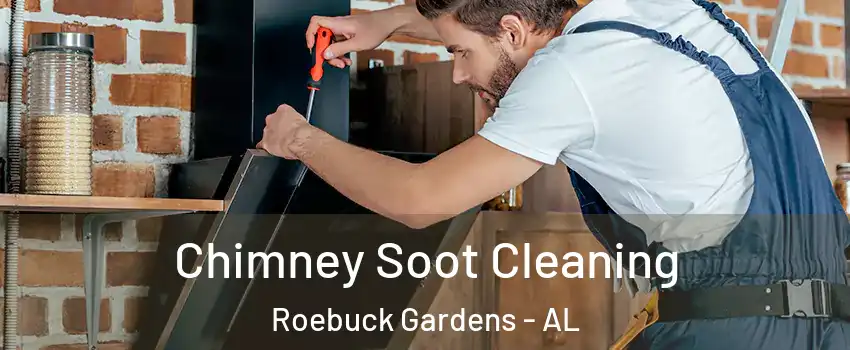 Chimney Soot Cleaning Roebuck Gardens - AL