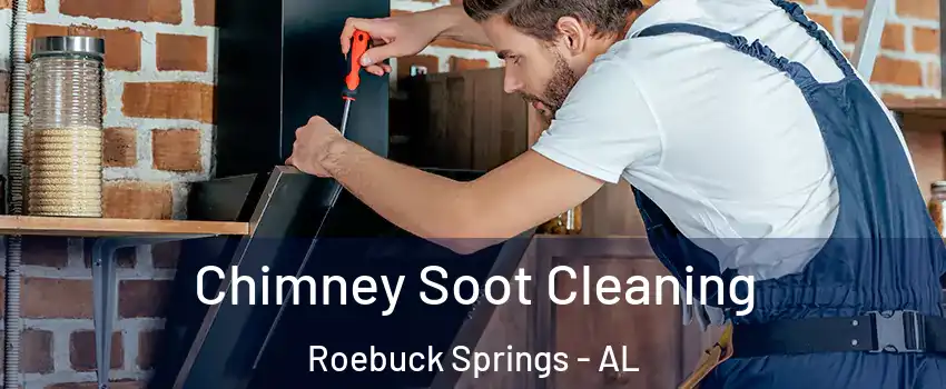 Chimney Soot Cleaning Roebuck Springs - AL
