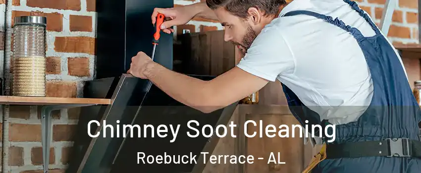 Chimney Soot Cleaning Roebuck Terrace - AL