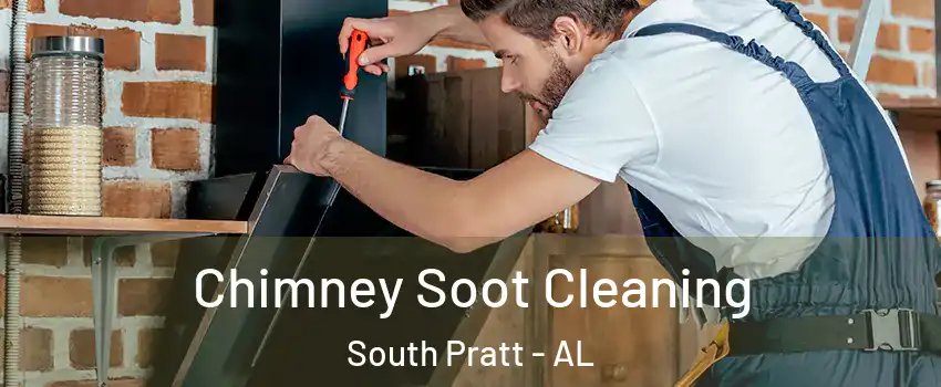 Chimney Soot Cleaning South Pratt - AL