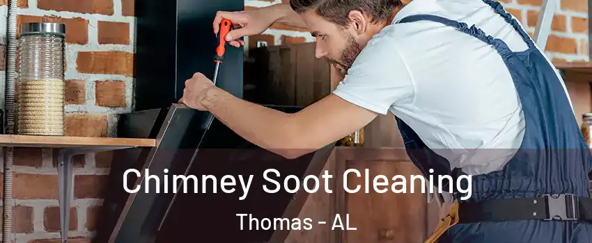 Chimney Soot Cleaning Thomas - AL