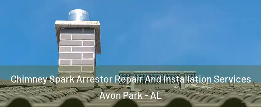 Chimney Spark Arrestor Repair And Installation Services Avon Park - AL