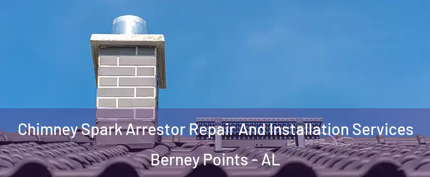 Chimney Spark Arrestor Repair And Installation Services Berney Points - AL