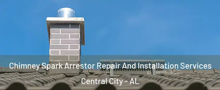 Chimney Spark Arrestor Repair And Installation Services Central City - AL