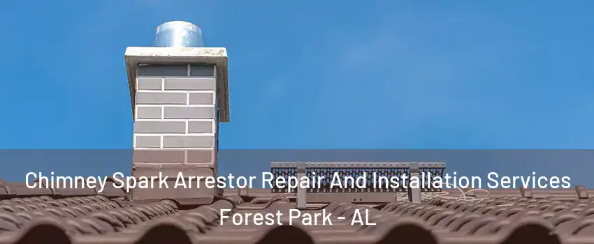 Chimney Spark Arrestor Repair And Installation Services Forest Park - AL