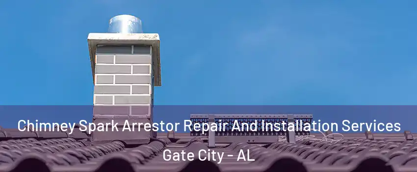 Chimney Spark Arrestor Repair And Installation Services Gate City - AL