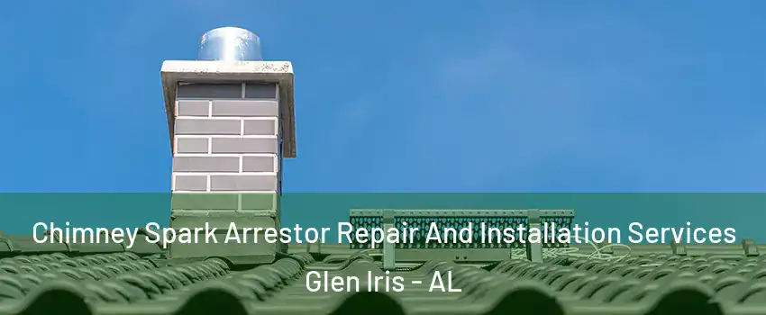 Chimney Spark Arrestor Repair And Installation Services Glen Iris - AL