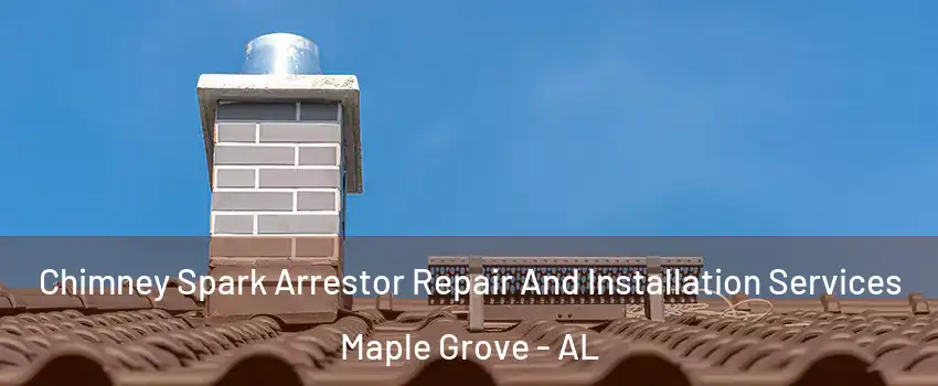 Chimney Spark Arrestor Repair And Installation Services Maple Grove - AL