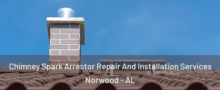 Chimney Spark Arrestor Repair And Installation Services Norwood - AL