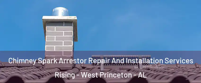 Chimney Spark Arrestor Repair And Installation Services Rising - West Princeton - AL