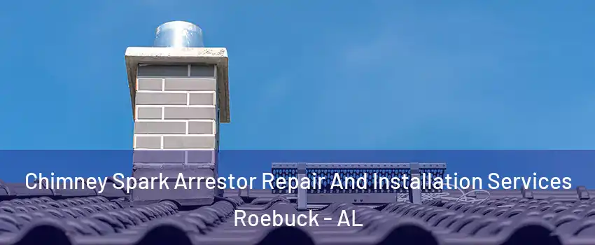 Chimney Spark Arrestor Repair And Installation Services Roebuck - AL