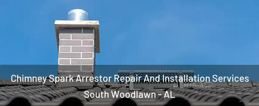 Chimney Spark Arrestor Repair And Installation Services South Woodlawn - AL