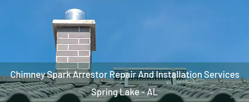 Chimney Spark Arrestor Repair And Installation Services Spring Lake - AL