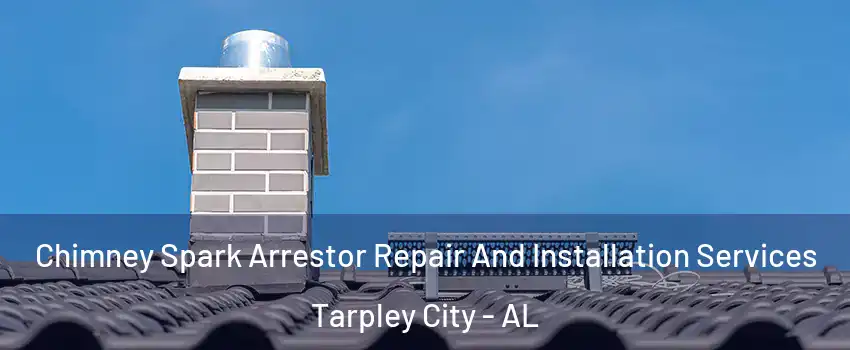 Chimney Spark Arrestor Repair And Installation Services Tarpley City - AL