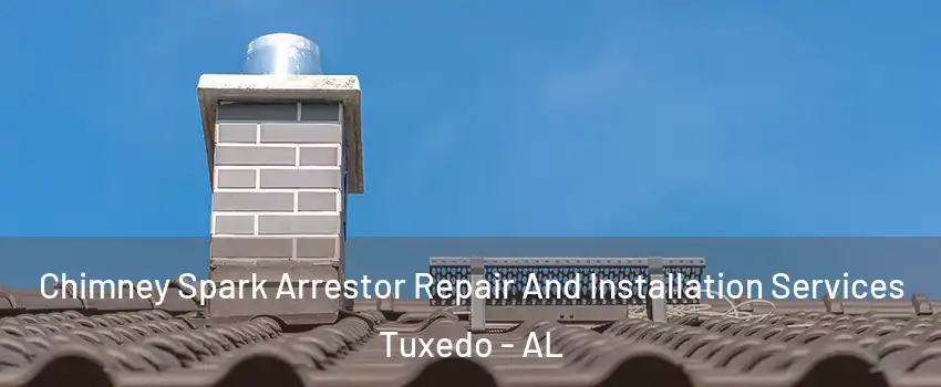 Chimney Spark Arrestor Repair And Installation Services Tuxedo - AL