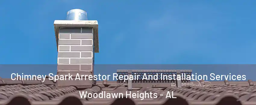 Chimney Spark Arrestor Repair And Installation Services Woodlawn Heights - AL