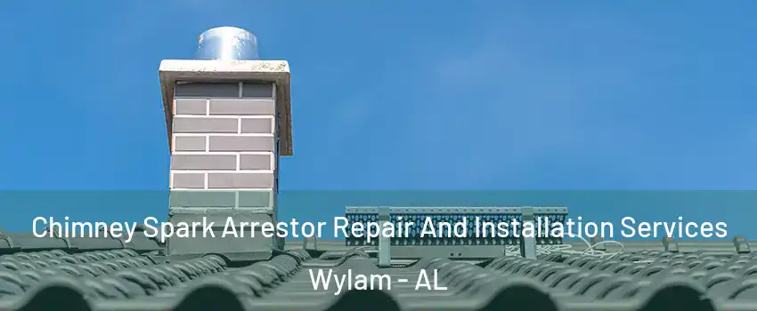 Chimney Spark Arrestor Repair And Installation Services Wylam - AL