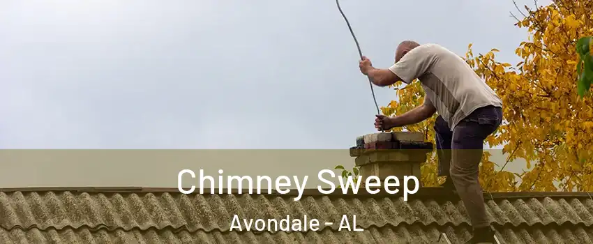 Chimney Sweep Avondale - AL