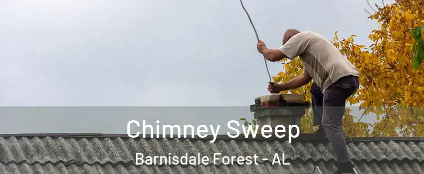 Chimney Sweep Barnisdale Forest - AL