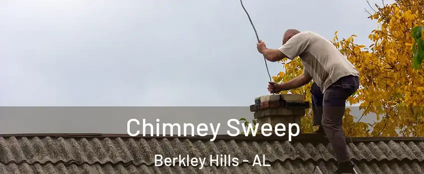 Chimney Sweep Berkley Hills - AL