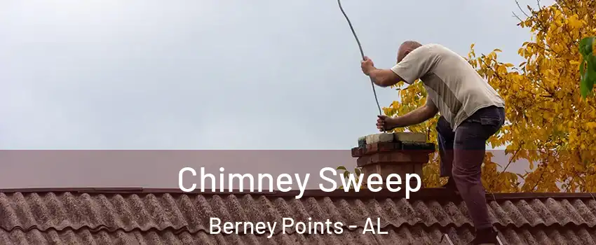 Chimney Sweep Berney Points - AL