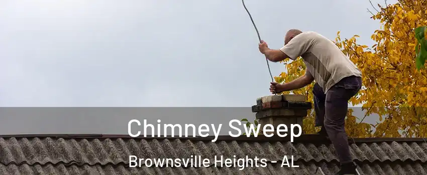Chimney Sweep Brownsville Heights - AL