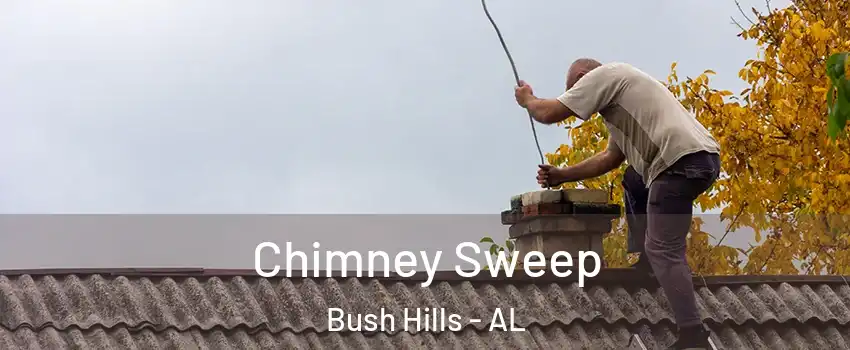 Chimney Sweep Bush Hills - AL