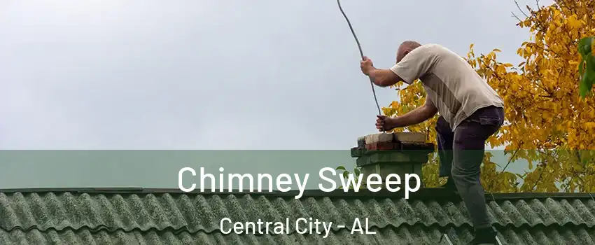 Chimney Sweep Central City - AL