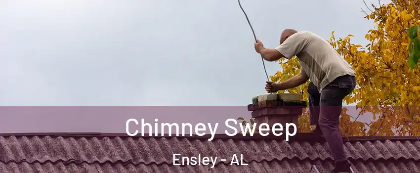 Chimney Sweep Ensley - AL