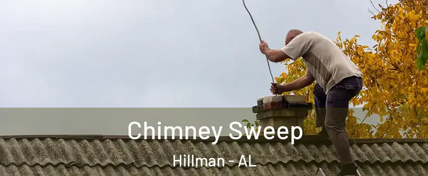 Chimney Sweep Hillman - AL