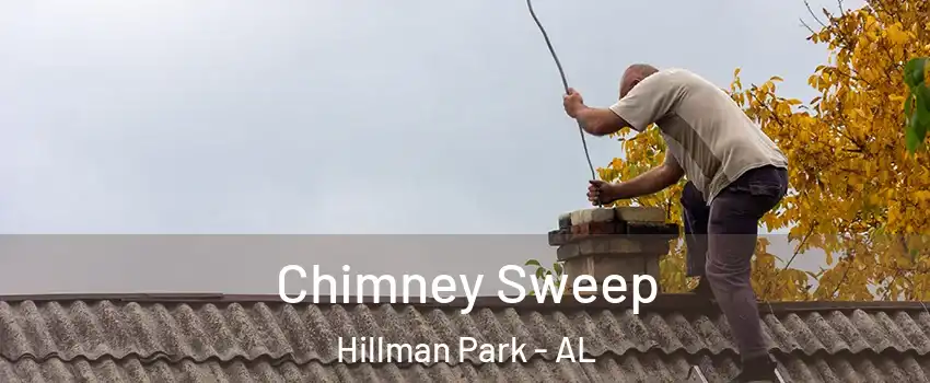 Chimney Sweep Hillman Park - AL