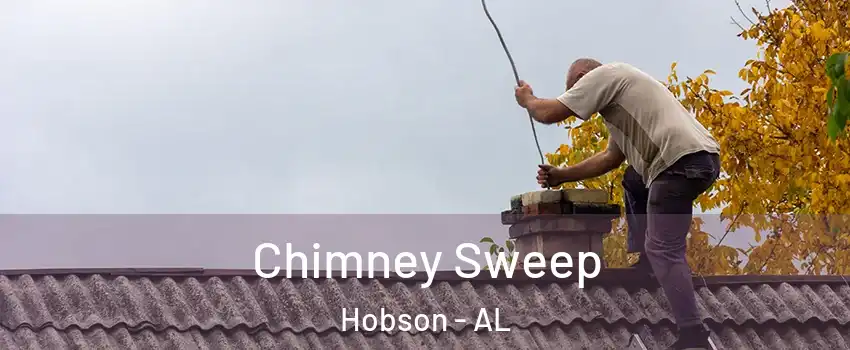 Chimney Sweep Hobson - AL