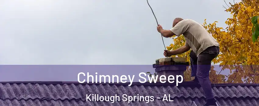 Chimney Sweep Killough Springs - AL