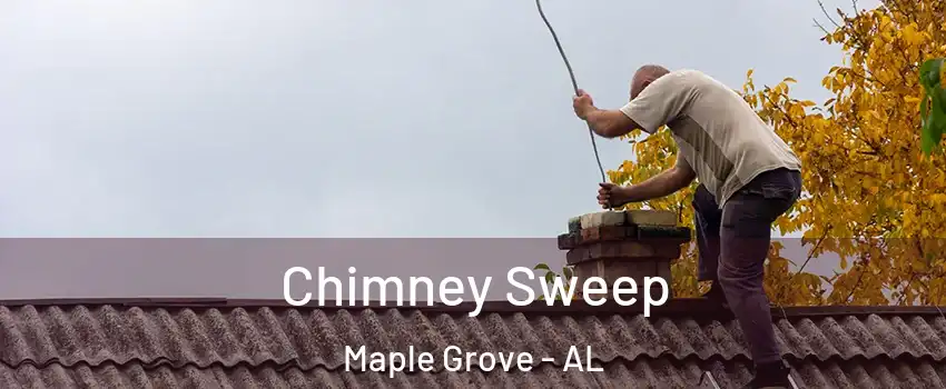 Chimney Sweep Maple Grove - AL