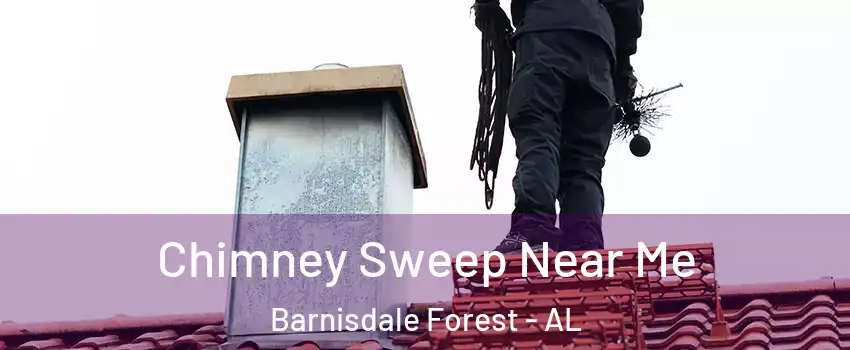 Chimney Sweep Near Me Barnisdale Forest - AL