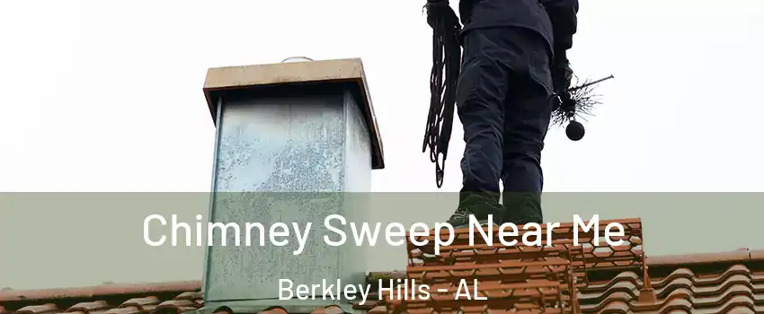 Chimney Sweep Near Me Berkley Hills - AL