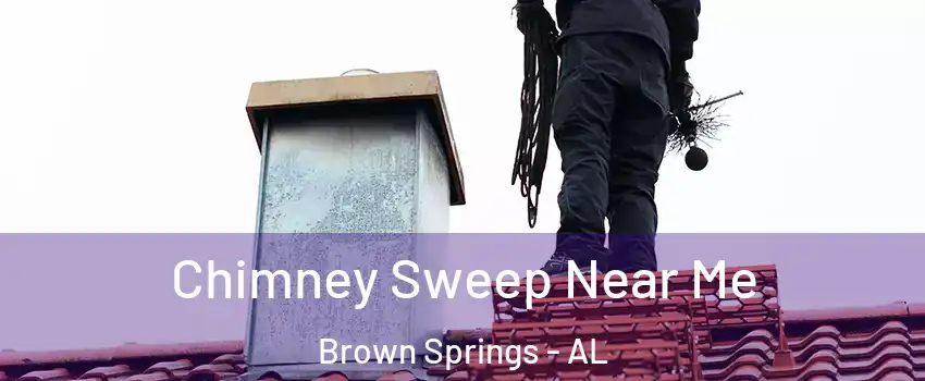 Chimney Sweep Near Me Brown Springs - AL