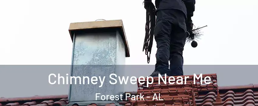 Chimney Sweep Near Me Forest Park - AL