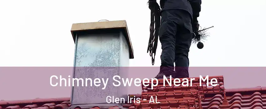Chimney Sweep Near Me Glen Iris - AL
