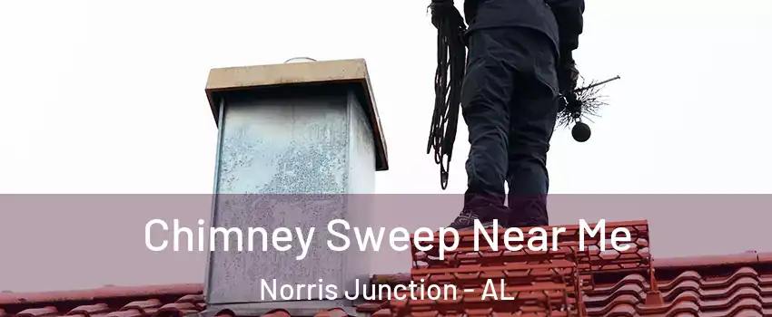 Chimney Sweep Near Me Norris Junction - AL
