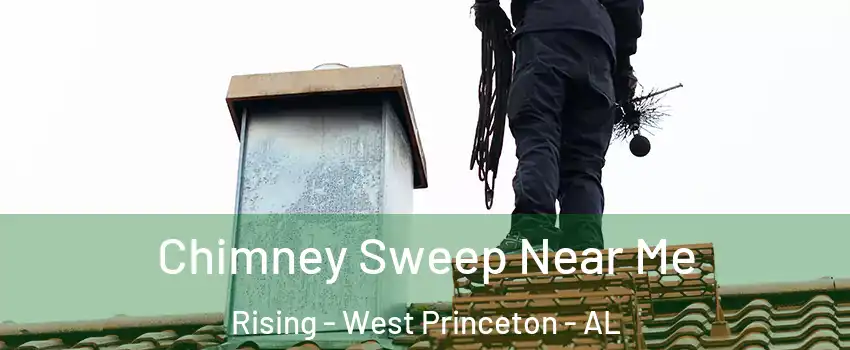 Chimney Sweep Near Me Rising - West Princeton - AL