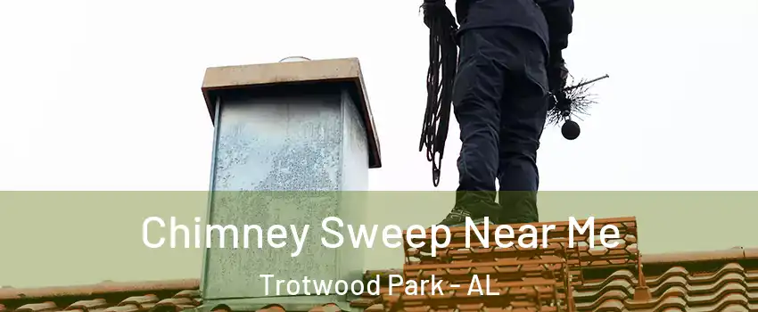 Chimney Sweep Near Me Trotwood Park - AL