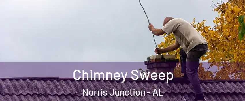 Chimney Sweep Norris Junction - AL
